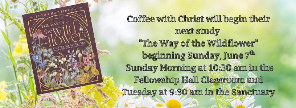 Coffee With Christ Current Study - "The Way of the Wildflower"