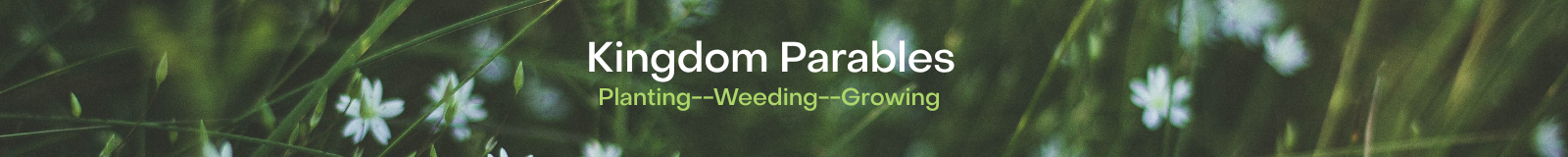 Kingdom Parables Sermon Series